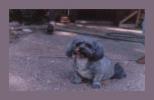 Thumbnail of cg89a.gif